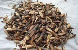 Điều trị chứng ngứa da mùa lạnh