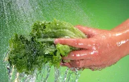 Tránh nhiễm khuẩn từ nhà bếp
