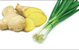 Thuốc nam chữa trị một số bệnh vào mùa lạnh