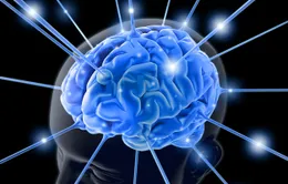 Sống năng động để có trí não lành mạnh