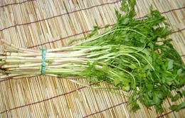 Ăn rau thủy sinh: Coi chừng bệnh sán lá ruột!