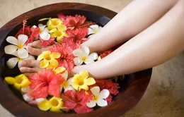 Bài thuốc trị chứng mất ngủ