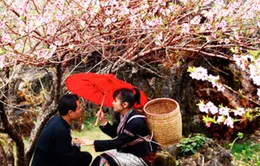 Sẵn sàng đến với Chợ tình Khâu Vai 2013