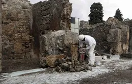 Di sản thế giới Pompeii cần được bảo vệ đặc biệt