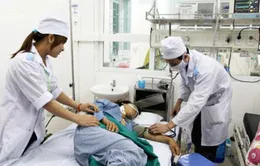 Ngộ độc rượu và bánh ngô làm 9 người tử vong