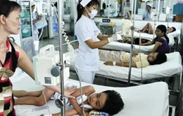 Cảnh báo nguy cơ bùng phát sốt xuất huyết trên diện rộng