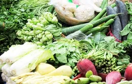Người dân loay hoay tìm thực phẩm sạch
