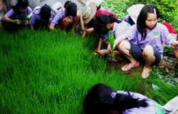 Dạy trẻ hiểu giá trị của lao động