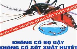 ASEAN chung tay phòng chống sốt xuất huyết