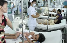 Sốt xuất huyết ở Gia Lai, đâu là nguyên nhân?