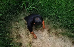 Trung Quốc: Hạn hán nghiêm trọng tại miền Trung