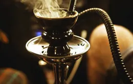 Có thực Shisha không độc hại? 