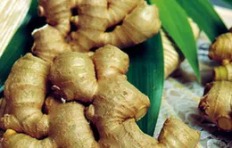 Những phương thuốc hữu hiệu trị táo bón