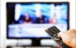 Công bố Sách Trắng về CNTT và Truyền thông Việt Nam 2013