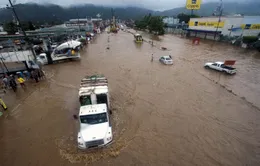 Bão lớn ở Mexico: ít nhất 23 người thiệt mạng