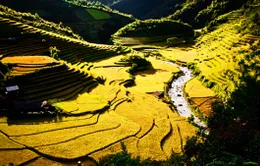 Mù Cang Chải sẵn sàng cho Tuần lễ văn hóa du lịch