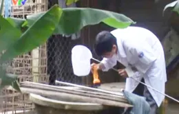 Huế: Phòng dịch bệnh đau mắt đỏ mùa mưa bão