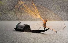 48 giải thưởng được trao tại Cuộc thi ảnh quốc tế Việt Nam