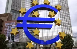 ECB mở cuộc sát hạch các ngân hàng hàng đầu Eurozone
