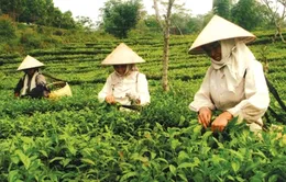 Bộ trưởng Bộ LĐTBXH trả lời về vấn đề xóa đói, giảm nghèo