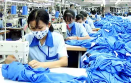 TP.HCM tăng trưởng kinh tế lạc quan trong quý IV
