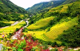Đón du khách thứ một triệu đến Sa Pa mùa lễ hội 2013