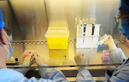 Trung Quốc điều chế thành công vaccine cúm H7N9