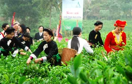 Festival Trà Thái Nguyên: Nâng tầm giá trị trà Việt 