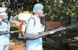 Quảng Nam: Sốt xuất huyết có nguy cơ bùng phát cao sau lũ