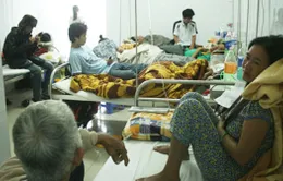 Quảng Nam thiếu thiết bị điều trị sốt xuất huyết sau lũ 