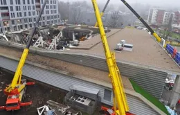 Xây vườn sai quy định trên mái gây nên vụ sập siêu thị ở Latvia?