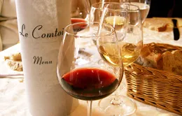 Vang Bordeaux - Vị riêng không thể lẫn của nước Pháp