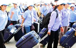 Lao động Việt Nam thiếu thông tin khi làm việc ở nước ngoài