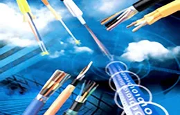 Đứt cáp quang biển, Internet Việt Nam truy cập trang quốc tế chậm
