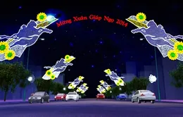 8 tuyến đường sáng đèn chào đón năm mới 2014 tại TP.HCM