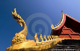Hình tượng rắn trong tâm thức và tín ngưỡng của người Lào
