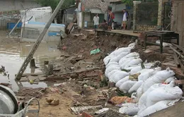 Sạt lở nghiêm trọng ở Sóc Trăng