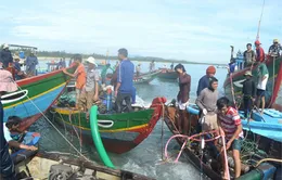 Bảo vệ nghiêm tàu đắm chứa cổ vật vừa tìm thấy