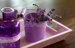 Sở thích về mùi hương tiết lộ tính cách