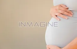 Phụ nữ mang thai có nên cho máu?