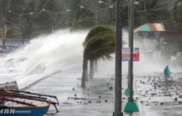 Philippines hoang tàn sau bão Haiyan