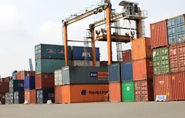 Hàng hóa ùn ứ tại cảng do quy định mới