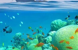 11 bãi biển lý tưởng để "trốn" đông