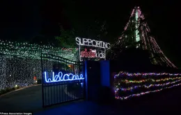 Vườn Noel trang trí nhiều đèn nhất thế giới