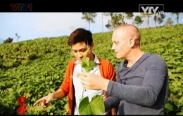 Su Su Tam Đảo - Món ăn cũ, hương vị mới