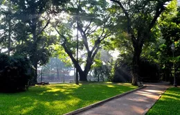 Khu vườn cổ trong lòng thành phố