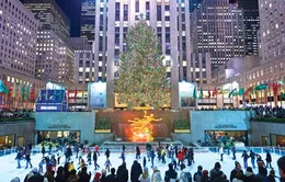 Cây thông biểu tượng Noel của New York sáng đèn