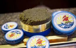 3 tỷ VND cho một hộp trứng cá hồi Petrossian 