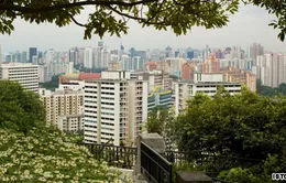 Singapore và chiến lược phủ xanh thành phố 