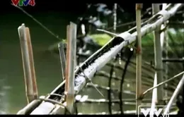 Độc đáo "bánh xe nước" của người Mường